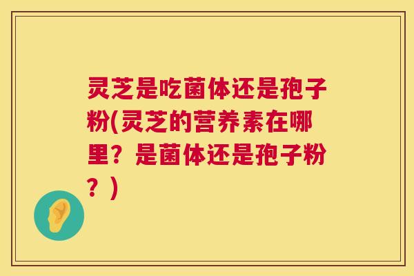 灵芝是吃菌体还是孢子粉(灵芝的营养素在哪里？是菌体还是孢子粉？)