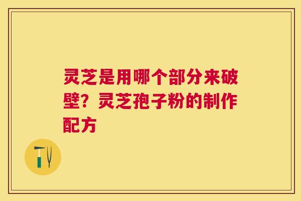 灵芝是用哪个部分来破壁?灵芝孢子粉的制作配方 灵芝是用哪个部分来破壁?灵芝孢子粉的制作配方