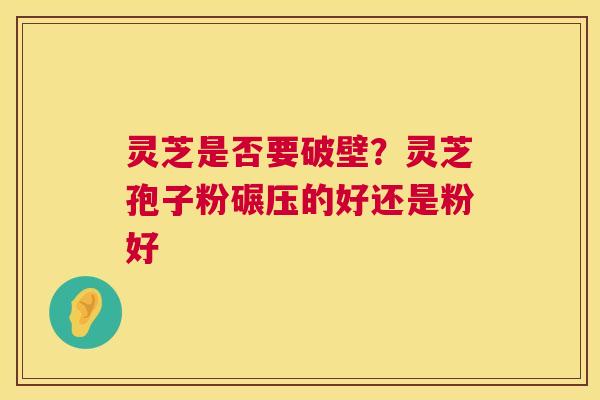 灵芝是否要破壁?灵芝孢子粉碾压的好还是粉好 灵芝是否要破壁?灵芝孢子粉碾压的好还是粉好