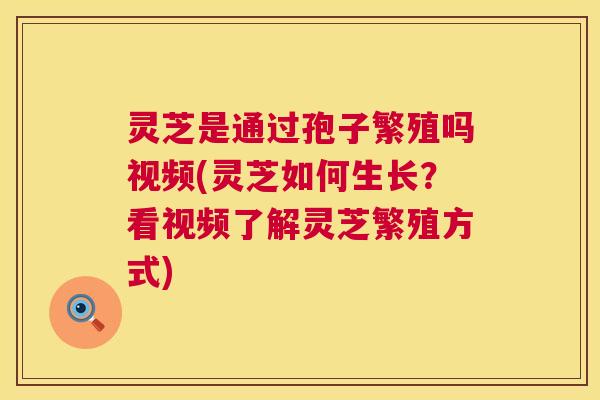 灵芝是通过孢子繁殖吗视频(灵芝如何生长?看视频了解灵芝繁殖方式) 灵芝是通过孢子繁殖吗视频(灵芝如何生长?看视频了解灵芝繁殖方式)