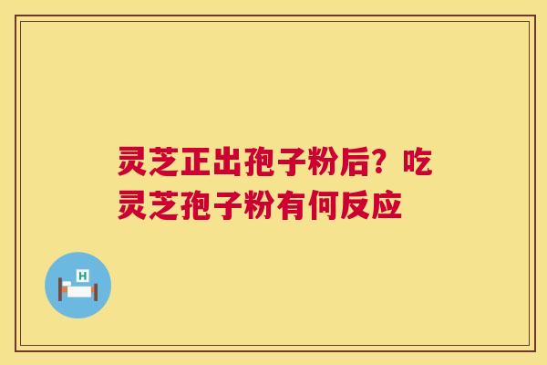 灵芝正出孢子粉后？吃灵芝孢子粉有何反应