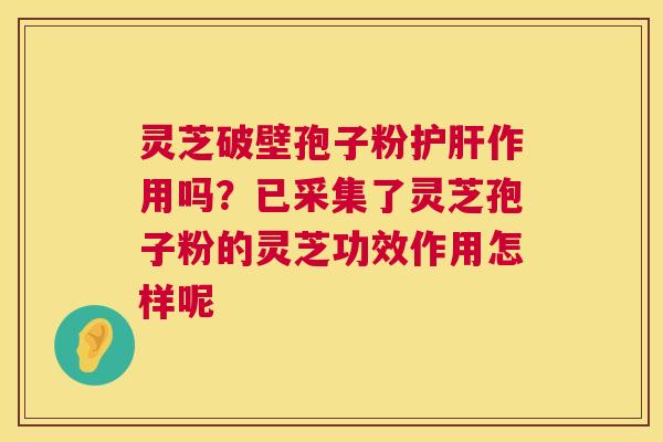 灵芝破壁孢子粉作用吗？已采集了灵芝孢子粉的灵芝功效作用怎样呢