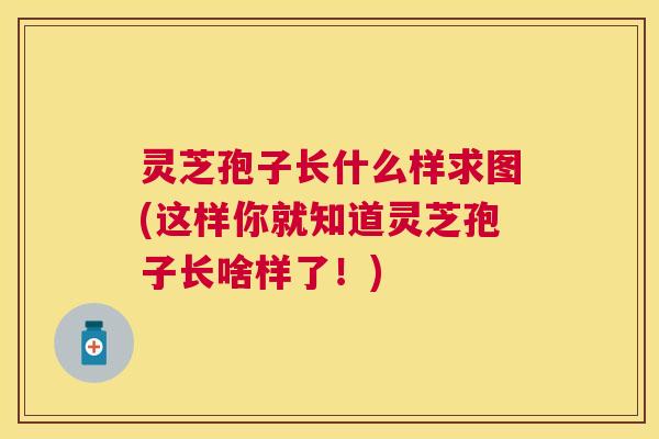 灵芝孢子长什么样求图(这样你就知道灵芝孢子长啥样了!) 灵芝孢子长什么样求图(这样你就知道灵芝孢子长啥样了!)