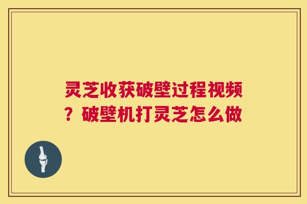 灵芝收获破壁过程视频?破壁机打灵芝怎么做 灵芝收获破壁过程视频?破壁机打灵芝怎么做