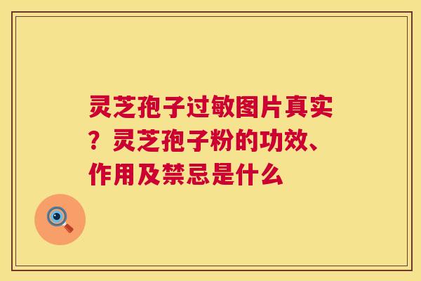 灵芝孢子图片真实?灵芝孢子粉的功效、作用及禁忌是什么 灵芝孢子图片真实?灵芝孢子粉的功效、作用及禁忌是什么