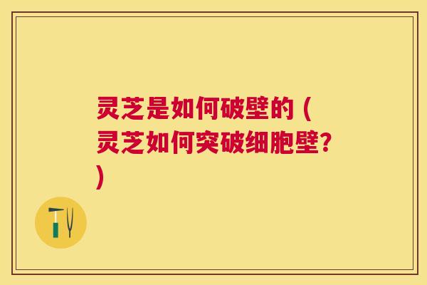 灵芝是如何破壁的 (灵芝如何突破细胞壁?) 灵芝是如何破壁的 (灵芝如何突破细胞壁?)