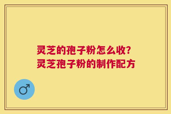 灵芝的孢子粉怎么收？灵芝孢子粉的制作配方