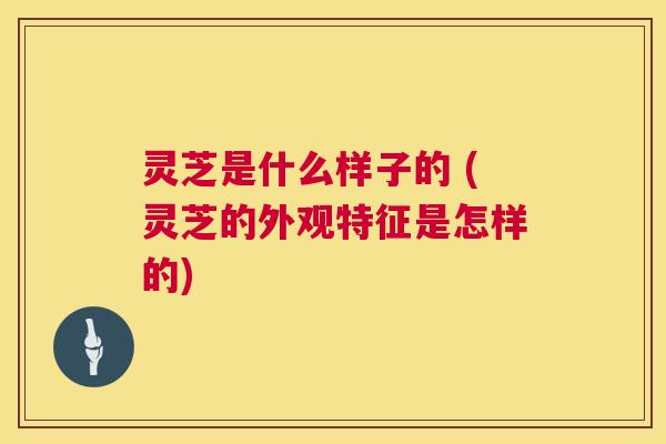 灵芝是什么样子的 (灵芝的外观特征是怎样的)