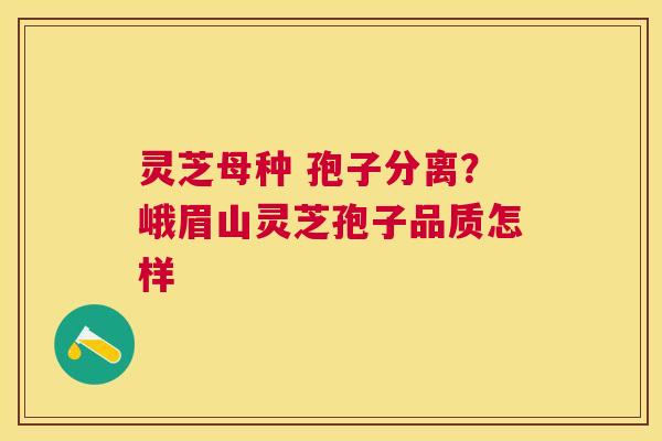 灵芝母种 孢子分离？峨眉山灵芝孢子品质怎样
