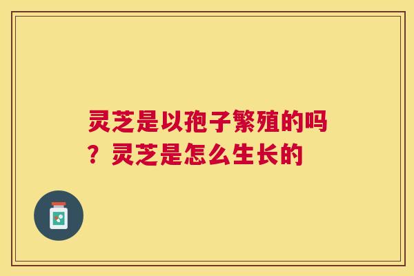 灵芝是以孢子繁殖的吗?灵芝是怎么生长的 灵芝是以孢子繁殖的吗?灵芝是怎么生长的