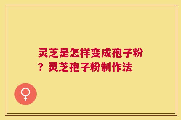 灵芝是怎样变成孢子粉?灵芝孢子粉制作法 灵芝是怎样变成孢子粉?灵芝孢子粉制作法