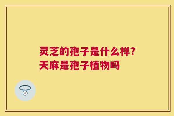 灵芝的孢子是什么样？天麻是孢子植物吗