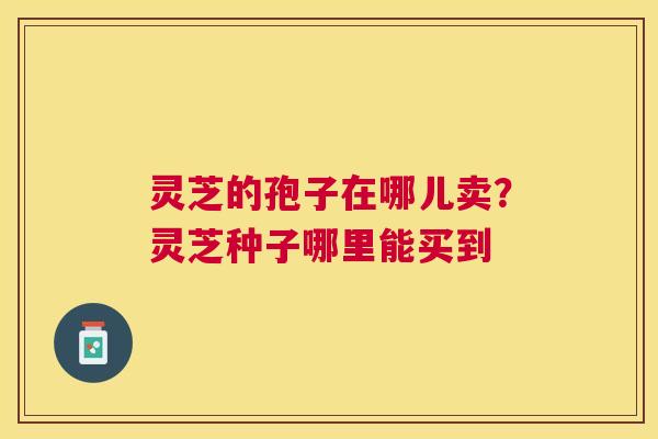 灵芝的孢子在哪儿卖?灵芝种子哪里能买到 灵芝的孢子在哪儿卖?灵芝种子哪里能买到