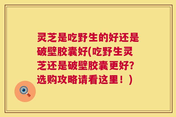 灵芝是吃野生的好还是破壁胶囊好(吃野生灵芝还是破壁胶囊更好?选购攻略请看这里!) 灵芝是吃野生的好还是破壁胶囊好(吃野生灵芝还是破壁胶囊更好?选购攻略请看这里!)