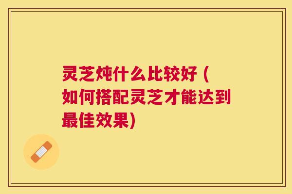 灵芝炖什么比较好 (如何搭配灵芝才能达到佳效果)