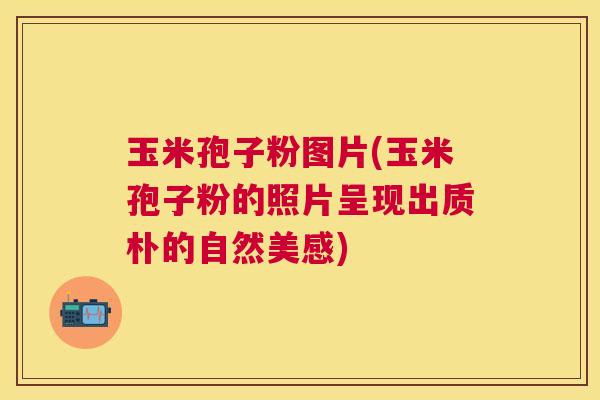 玉米孢子粉图片(玉米孢子粉的照片呈现出质朴的自然美感)