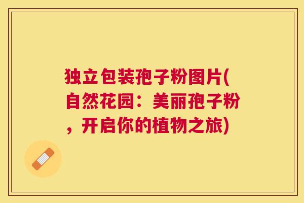 独立包装孢子粉图片(自然花园:美丽孢子粉,开启你的植物之旅) 独立包装孢子粉图片(自然花园:美丽孢子粉,开启你的植物之旅)