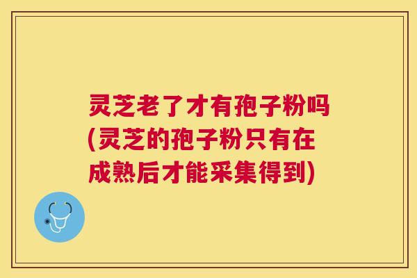 灵芝老了才有孢子粉吗(灵芝的孢子粉只有在成熟后才能采集得到)