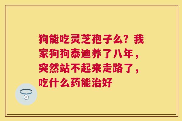 狗能吃灵芝孢子么?我家狗狗泰迪养了八年,突然站不起来走路了,吃什么药能好 狗能吃灵芝孢子么?我家狗狗泰迪养了八年,突然站不起来走路了,吃什么药能好