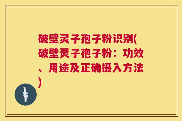 破壁灵子孢子粉识别(破壁灵子孢子粉:功效、用途及正确摄入方法) 破壁灵子孢子粉识别(破壁灵子孢子粉:功效、用途及正确摄入方法)