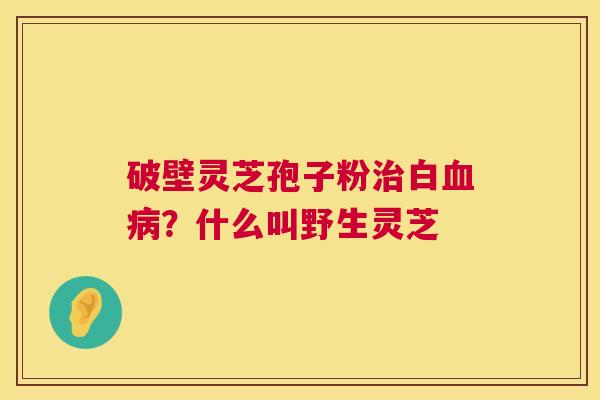 破壁灵芝孢子粉白？什么叫野生灵芝