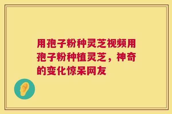 用孢子粉种灵芝视频用孢子粉种植灵芝,神奇的变化惊呆网友 用孢子粉种灵芝视频用孢子粉种植灵芝,神奇的变化惊呆网友