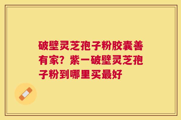 破壁灵芝孢子粉胶囊善有家?紫一破壁灵芝孢子粉到哪里买好 破壁灵芝孢子粉胶囊善有家?紫一破壁灵芝孢子粉到哪里买好