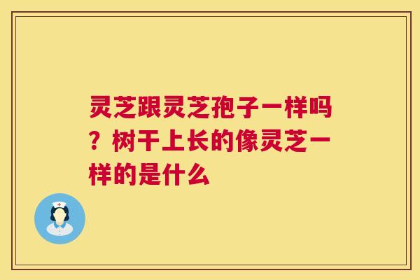 灵芝跟灵芝孢子一样吗？树干上长的像灵芝一样的是什么