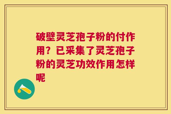 破壁灵芝孢子粉的付作用?已采集了灵芝孢子粉的灵芝功效作用怎样呢 破壁灵芝孢子粉的付作用?已采集了灵芝孢子粉的灵芝功效作用怎样呢