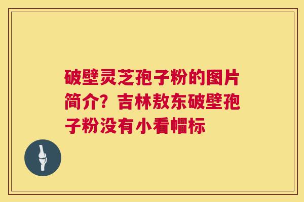 破壁灵芝孢子粉的图片简介？吉林敖东破壁孢子粉没有小看帽标