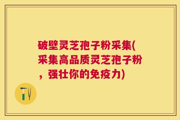 破壁灵芝孢子粉采集(采集高品质灵芝孢子粉,强壮你的免疫力) 破壁灵芝孢子粉采集(采集高品质灵芝孢子粉,强壮你的免疫力)