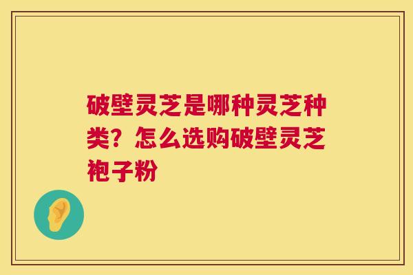 破壁灵芝是哪种灵芝种类?怎么选购破壁灵芝袍子粉 破壁灵芝是哪种灵芝种类?怎么选购破壁灵芝袍子粉