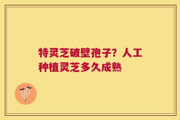 特灵芝破壁孢子?人工种植灵芝多久成熟 特灵芝破壁孢子?人工种植灵芝多久成熟