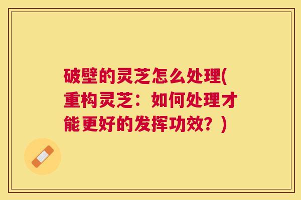 破壁的灵芝怎么处理(重构灵芝：如何处理才能更好的发挥功效？)