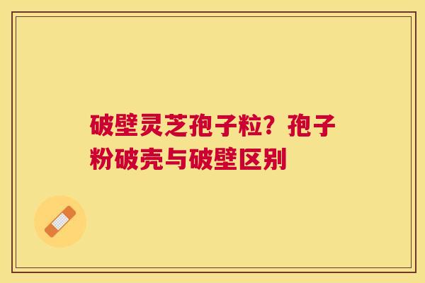 破壁灵芝孢子粒？孢子粉破壳与破壁区别