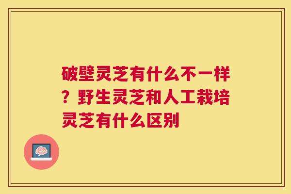破壁灵芝有什么不一样?野生灵芝和人工栽培灵芝有什么区别 破壁灵芝有什么不一样?野生灵芝和人工栽培灵芝有什么区别