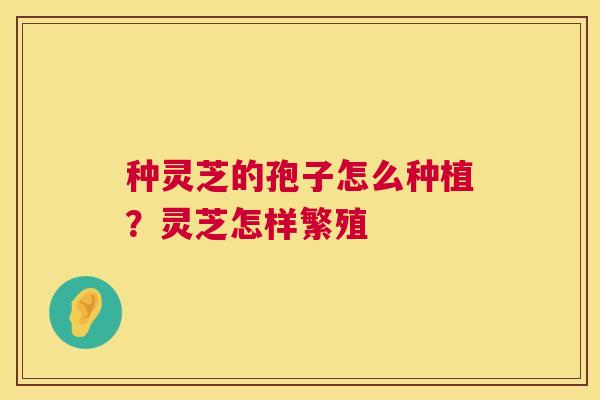 种灵芝的孢子怎么种植？灵芝怎样繁殖