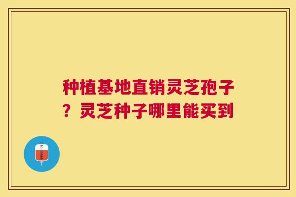 种植基地直销灵芝孢子?灵芝种子哪里能买到 种植基地直销灵芝孢子?灵芝种子哪里能买到