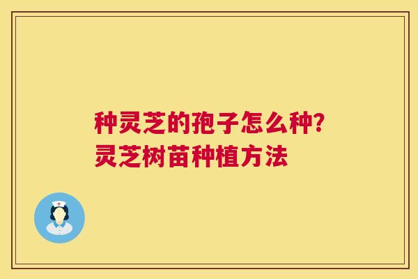 种灵芝的孢子怎么种？灵芝树苗种植方法