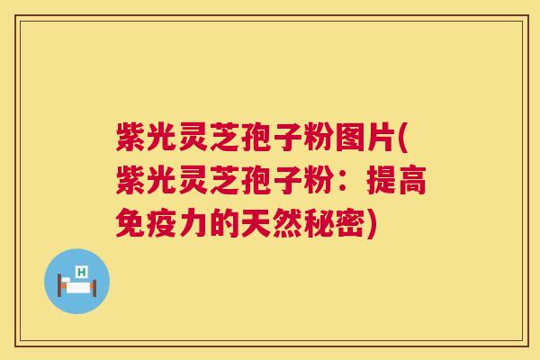 紫光灵芝孢子粉图片(紫光灵芝孢子粉：提高免疫力的天然秘密)