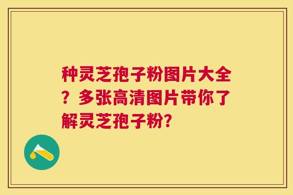 种灵芝孢子粉图片大全？多张高清图片带你了解灵芝孢子粉？