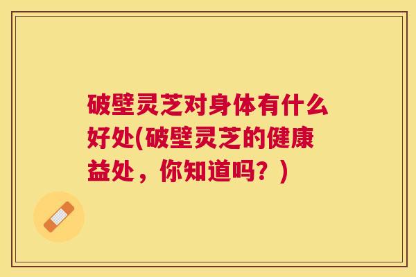 破壁灵芝对身体有什么好处(破壁灵芝的健康益处,你知道吗?) 破壁灵芝对身体有什么好处(破壁灵芝的健康益处,你知道吗?)