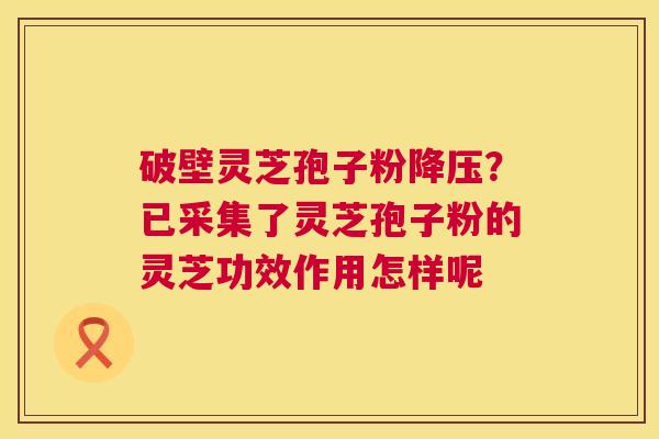 破壁灵芝孢子粉?已采集了灵芝孢子粉的灵芝功效作用怎样呢 破壁灵芝孢子粉?已采集了灵芝孢子粉的灵芝功效作用怎样呢