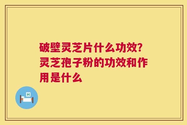 破壁灵芝片什么功效?灵芝孢子粉的功效和作用是什么 破壁灵芝片什么功效?灵芝孢子粉的功效和作用是什么