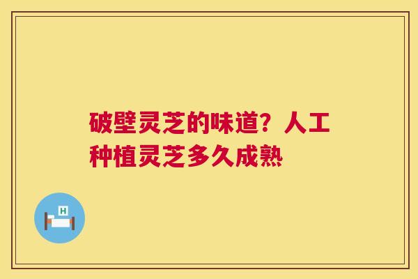 破壁灵芝的味道?人工种植灵芝多久成熟 破壁灵芝的味道?人工种植灵芝多久成熟