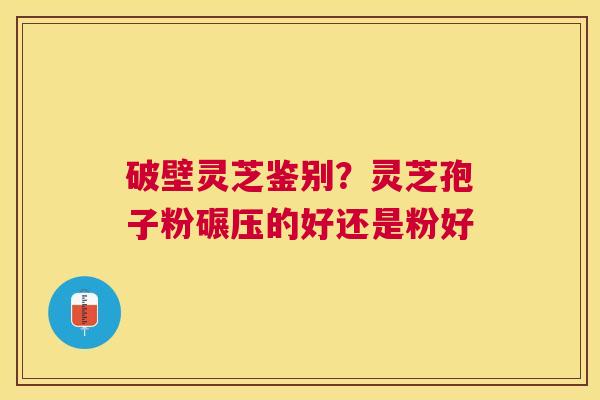 破壁灵芝鉴别？灵芝孢子粉碾压的好还是粉好