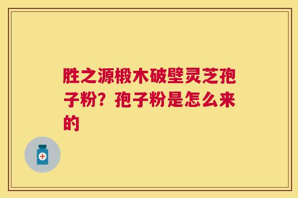 胜之源椴木破壁灵芝孢子粉?孢子粉是怎么来的 胜之源椴木破壁灵芝孢子粉?孢子粉是怎么来的