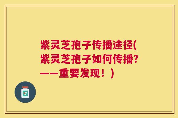紫灵芝孢子传播途径(紫灵芝孢子如何传播?——重要发现!) 紫灵芝孢子传播途径(紫灵芝孢子如何传播?——重要发现!)