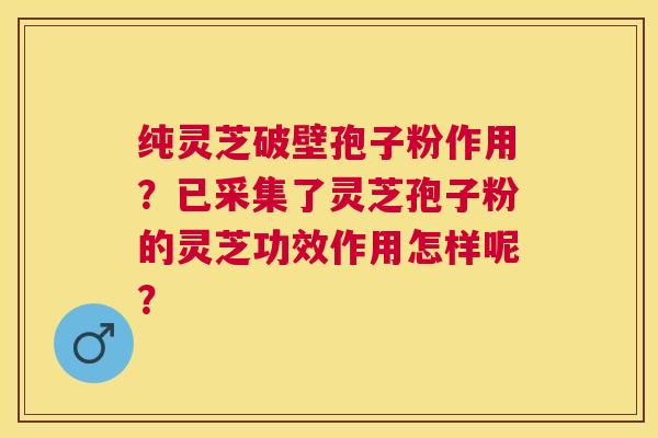 纯灵芝破壁孢子粉作用?已采集了灵芝孢子粉的灵芝功效作用怎样呢? 纯灵芝破壁孢子粉作用?已采集了灵芝孢子粉的灵芝功效作用怎样呢?
