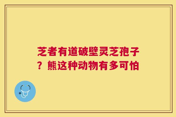 芝者有道破壁灵芝孢子?熊这种动物有多可怕 芝者有道破壁灵芝孢子?熊这种动物有多可怕